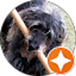 Profile photo of Joe Patton