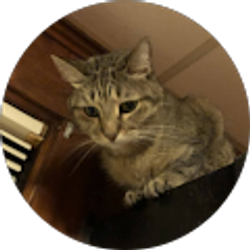 Profile photo of Bert Wilson