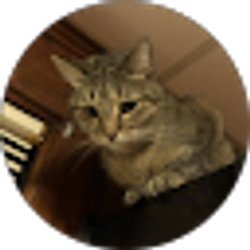 Profile photo of Bert Wilson