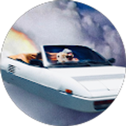 Profile photo of kamsummers