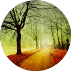 Profile photo of Mirah Harrison