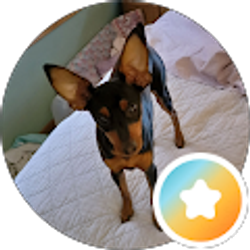 Profile photo of Troy DeVan