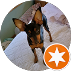 Profile photo of Troy DeVan