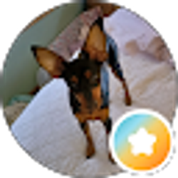Profile photo of Troy DeVan