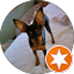 Profile photo of Troy DeVan