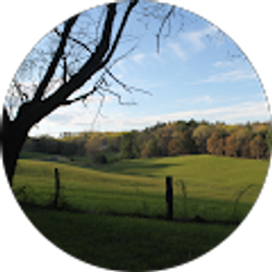 Profile photo of Tony Baldwin