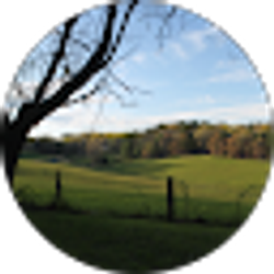 Profile photo of Tony Baldwin