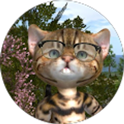 Profile photo of Scamper Nitely