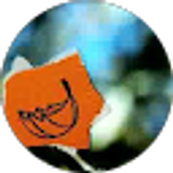 Profile photo of Chris Pearce