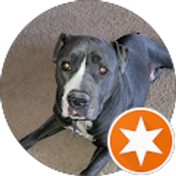 Profile photo of George Robertson