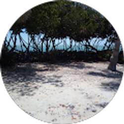 Profile photo of Amy Hight