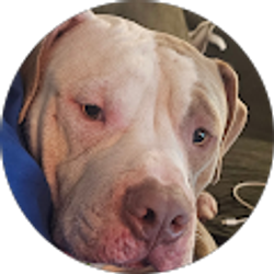 Profile photo of jeffrey bradley