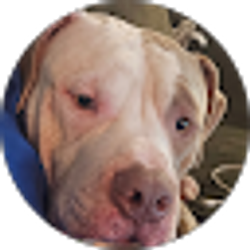 Profile photo of jeffrey bradley