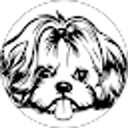 Profile photo of Mandi Edwards