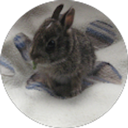 Profile photo of Nathan Beauchamp