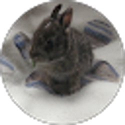 Profile photo of Nathan Beauchamp