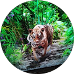 Profile photo of Armando Ortiz