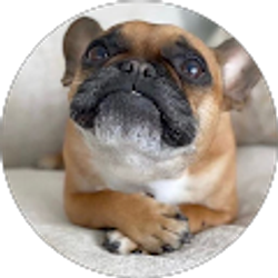 Profile photo of Kimberly Clarke