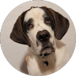 Profile photo of Javon Lindeman