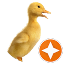 Profile photo of Kayla M