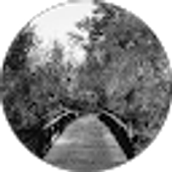 Profile photo of Joy Bohte