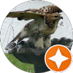 Profile photo of Elizabeth Kelley