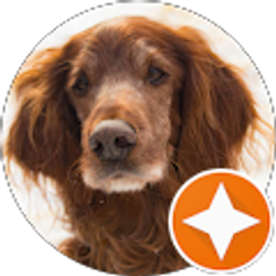 Profile photo of Cole