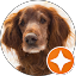 Profile photo of Cole