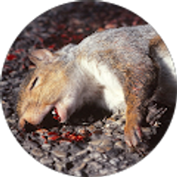 Profile photo of jim anderson