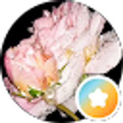 Profile photo of AnnieM