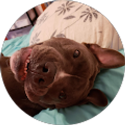 Profile photo of Heather Egnor