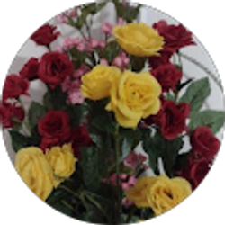 Profile photo of Debra Davenport