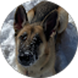 Profile photo of Luke Serbousek