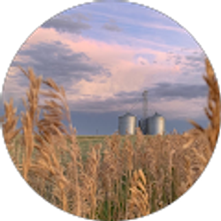 Profile photo of Cat Hale