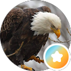 Profile photo of Mark Townsend