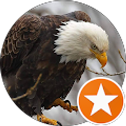 Profile photo of Mark Townsend