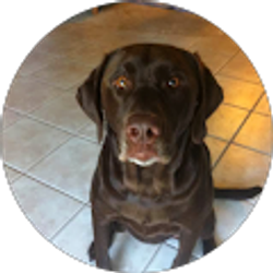 Profile photo of Brad L