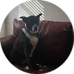 Profile photo of Law Office of Liz Wilson