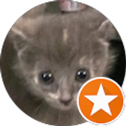 Profile photo of Ben Smith