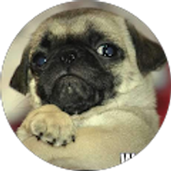 Profile photo of Michelle Rock