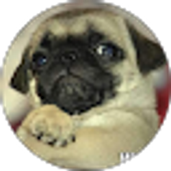 Profile photo of Michelle Rock
