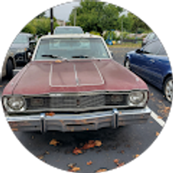 Profile photo of nurbek uz