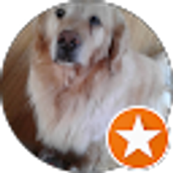 Profile photo of Annie Coe