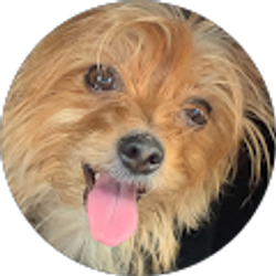 Profile photo of Karina Mendez