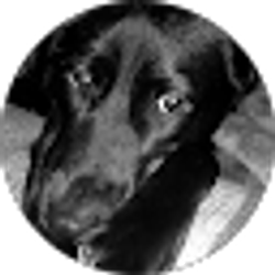 Profile photo of Chelsey Hughes
