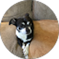 Profile photo of Neil Gahl