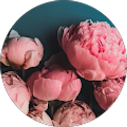 Profile photo of Tanesha Jordan