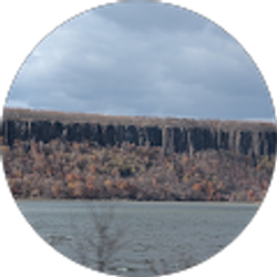 Profile photo of NYExplorer