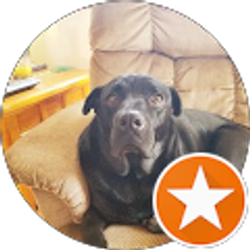 Profile photo of Rod Dettling