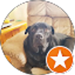 Profile photo of Rod Dettling